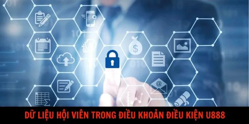 Dữ liệu hội viên trong điều khoản điều kiện